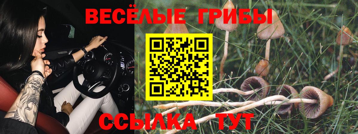 Псилоцибиновые грибы ЛСД  Вход с VPN  купить наркотики сайты  Сосновоборск 
