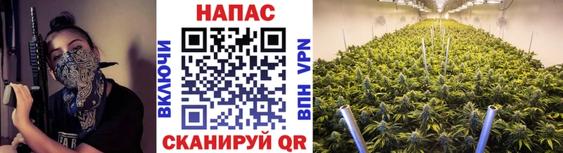 Каннабис White Widow  Сосновоборск 